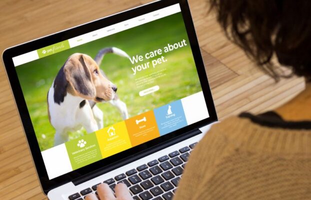 Czy Shoper to dobre rozwiązanie dla Twojego e-commerce?